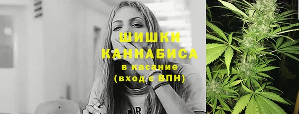 сатива Заводоуковск