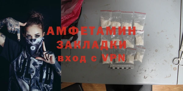 сатива Заводоуковск