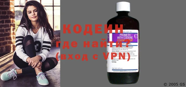 сатива Заводоуковск