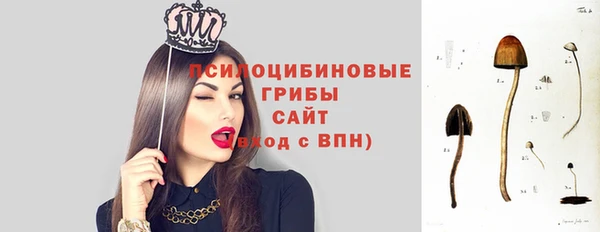 дмт Заволжск