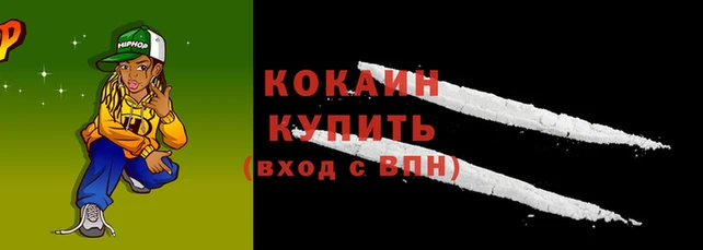 сатива Заводоуковск
