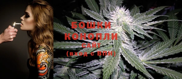 дмт Заволжск