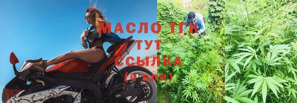 сатива Заводоуковск