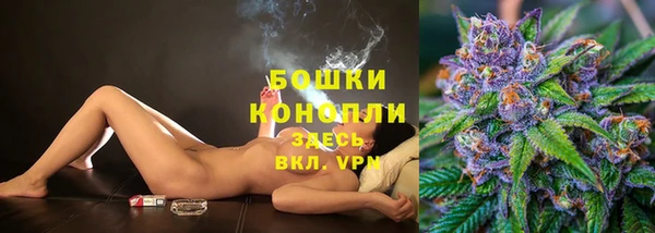 сатива Заводоуковск