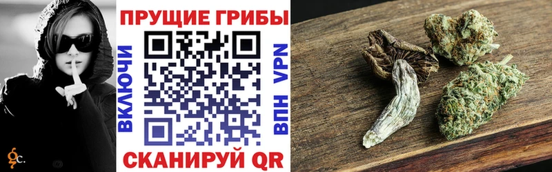 Галлюциногенные грибы Psilocybine cubensis  Купить где  Чухлома 